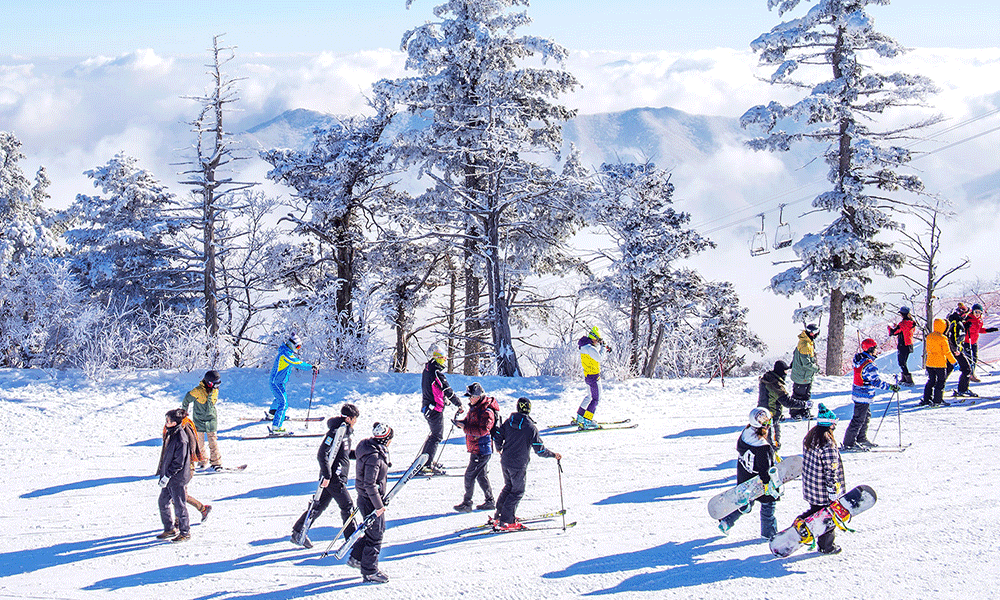 Trượt tuyết tại Ski Resort